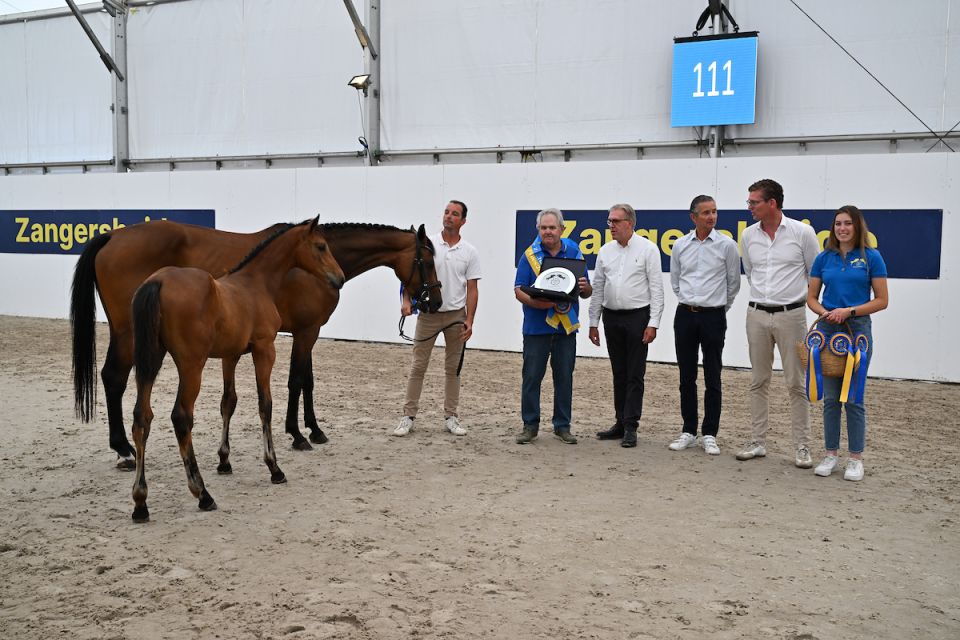 Dorie Proud Girl Z and Audi Z are the winning colts on the third
